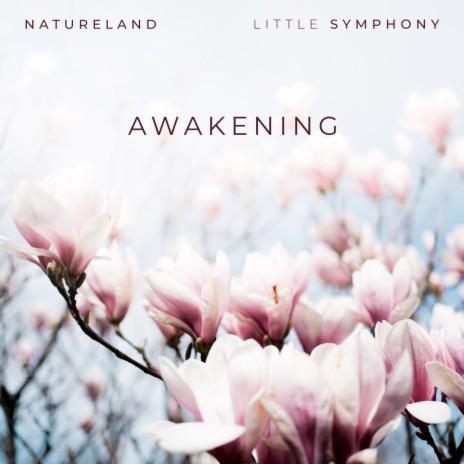 Awakening ft. Little Symphony | Boomplay Music