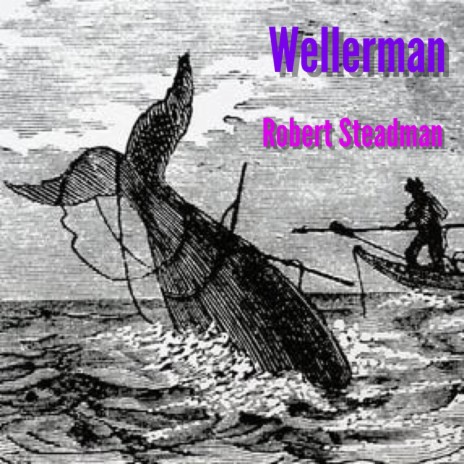 Wellerman (Instrumental) | Boomplay Music