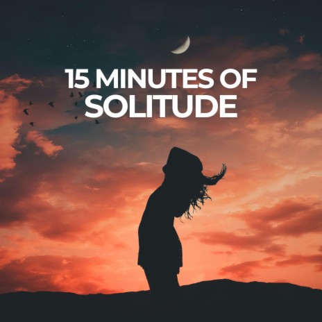 15 MINUTES OF SOLITUDE | Boomplay Music