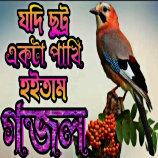 যদি ছোট্ট একটা পাখি হইতাম