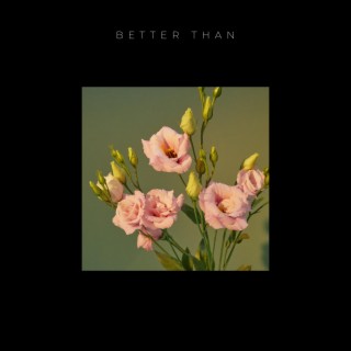 Better Than lyrics | Boomplay Music