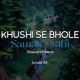 Khushi Se Bhole Samate Nahi Lofi