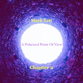 A Polarized Point of View (Chapter 2)