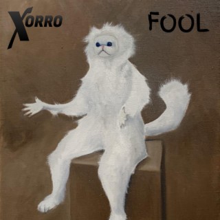 Fool