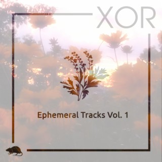 Ephemeral Tracks, Vol. 1