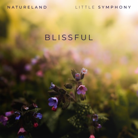 Blissful ft. Natureland | Boomplay Music