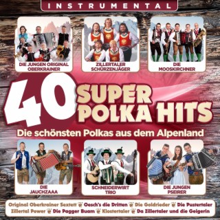 40 super Polka Hits - Instrumental - Die schönsten Polkas aus dem Alpenland