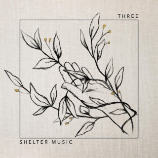 Shelter Music