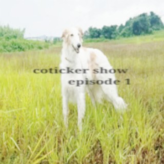 coticker show episode 1