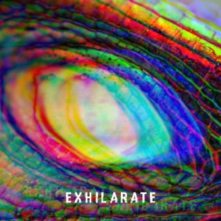 Exhilarate