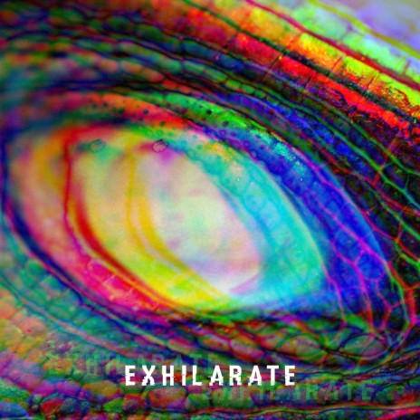 Exhilarate (Original Mix) ft. George Morden