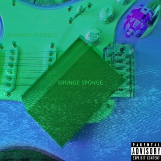 Grunge Sponge