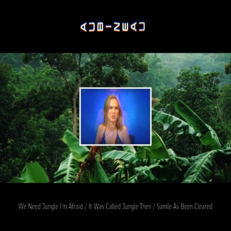 We need Jungle I'm Afraid / It Was Called Jungle Then / Sample As Been Cleared | Boomplay Music