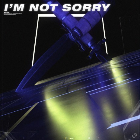 I'm Not Sorry | Boomplay Music