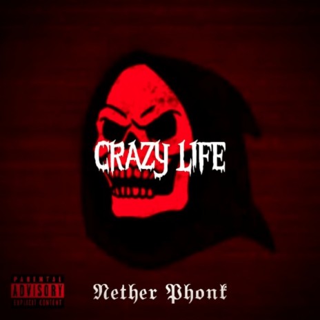 Crazy Life | Boomplay Music
