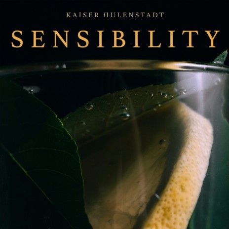 Sensibility | Boomplay Music