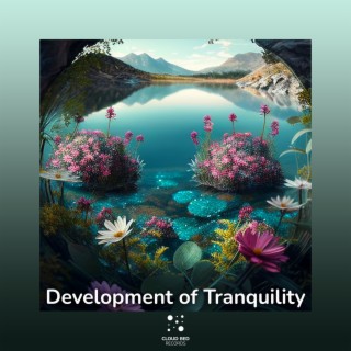 Development of Tranquility