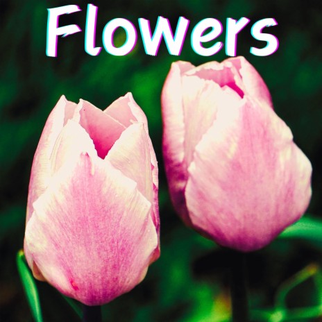 Flowers | Boomplay Music