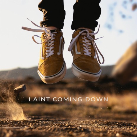 I Ain't Coming Down | Boomplay Music