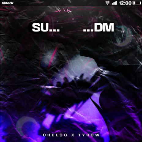 SU DM ft. TyRow | Boomplay Music