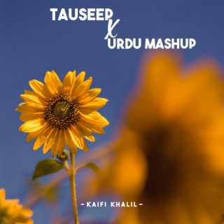 Tauseep X Urdu Mashup lyrics | Boomplay Music