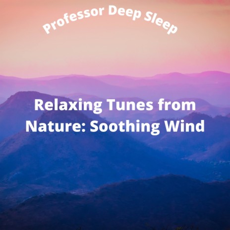 Relaxing Wind Sound For Sleeping Pt.10
