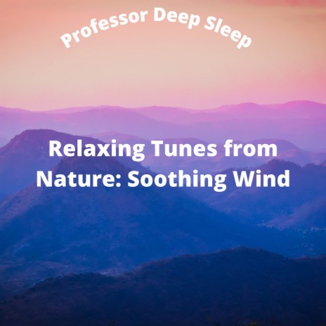 Nature Wind Sounds Pt.9