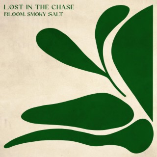 Lost In The Chase ft. Smoky Salt lyrics | Boomplay Music