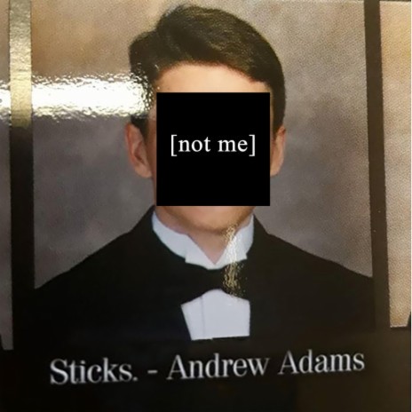 Sticks