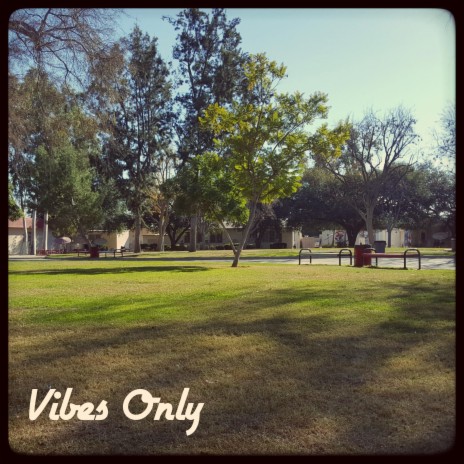 Vibes Only | Boomplay Music