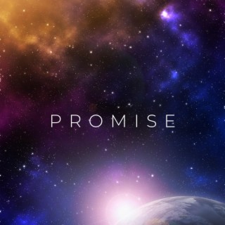 Promise (Radio Edit) ft. Jay Hvrt & J Ruff lyrics | Boomplay Music