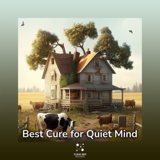Best Cure for Quiet Mind
