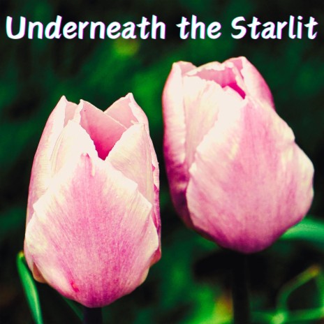 Underneath the Starlit | Boomplay Music