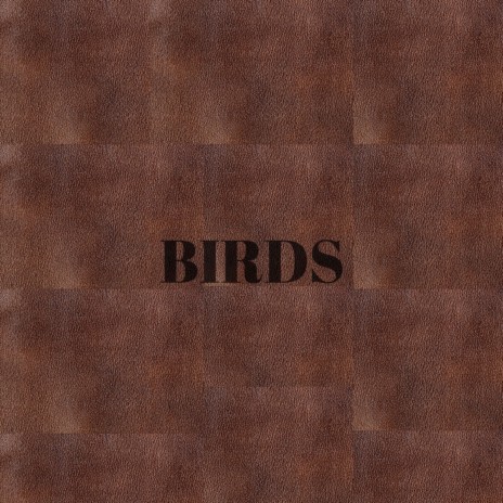 Birds (Slowed + Reverb)