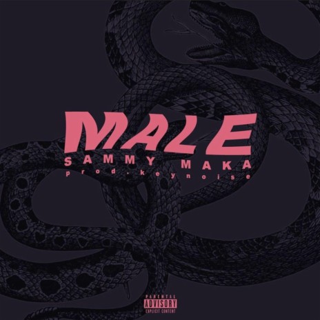 Male | Boomplay Music