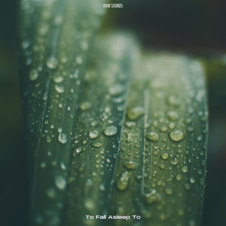 Asmr Rain Sounds | Boomplay Music