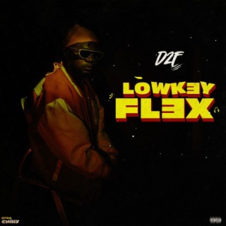 Lowkey flex lyrics | Boomplay Music