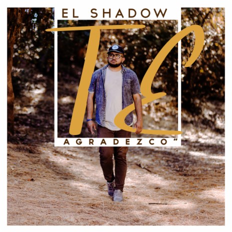 Te Agradezco | Boomplay Music