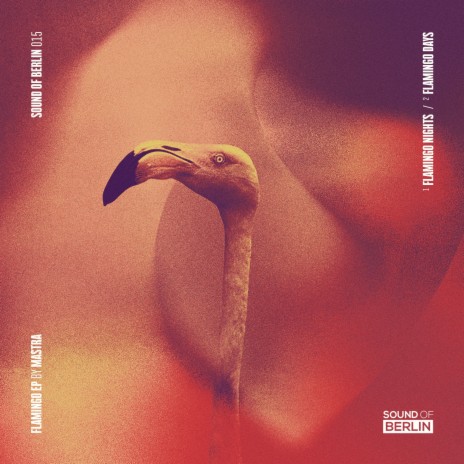 Flamingo Nights | Boomplay Music