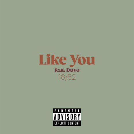 Like You (feat. Duvo The Ghost)