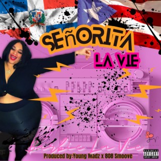 Señorita La Vie lyrics | Boomplay Music