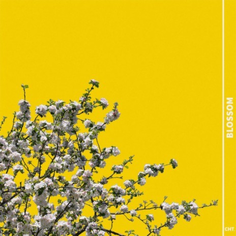 Blossom | Boomplay Music