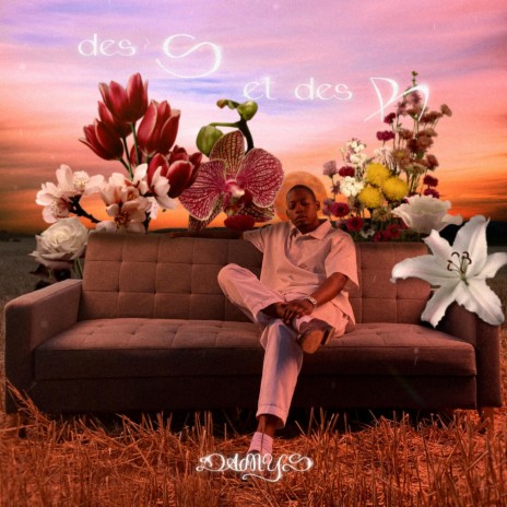 des S et des R | Boomplay Music