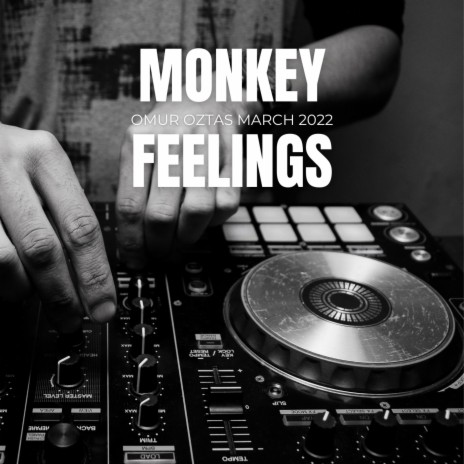 Monkey Feelings | Boomplay Music