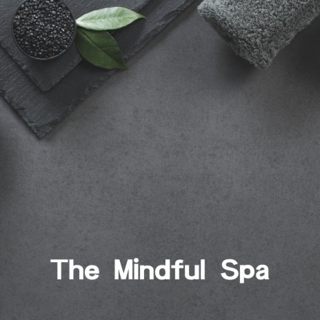 The Mindful Spa