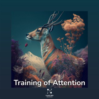 Training of Attention