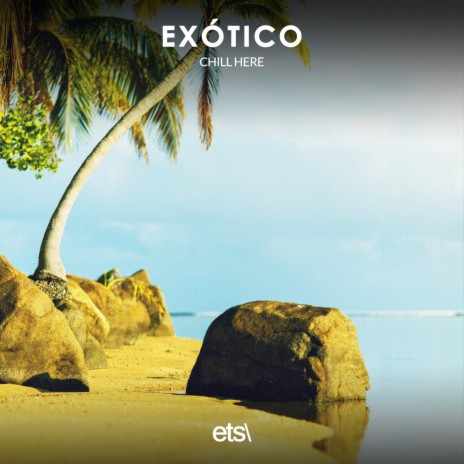Exótico (8D Audio) | Boomplay Music