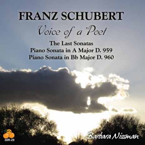 Piano Sonata in B-Flat Major, D. 960: III. Scherzo. Allegro vivace don delicatezza | Boomplay Music