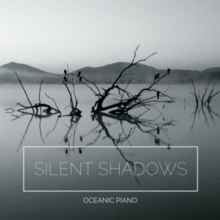 Silent Shadows
