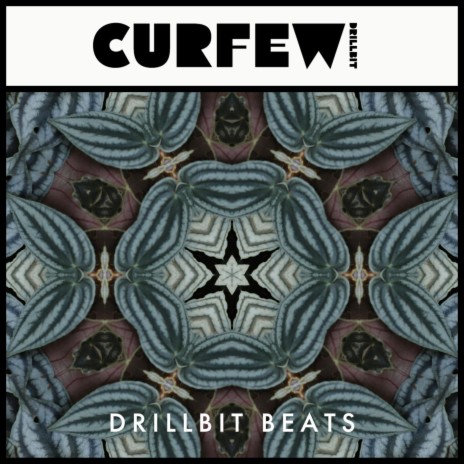 Curfew | Boomplay Music